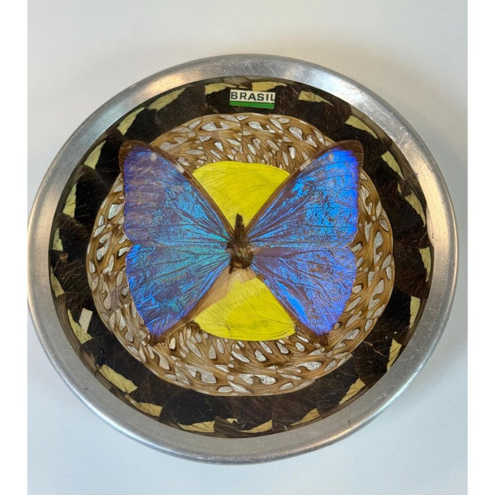 Taxidermy Wall Art | Bubble Glass Gem Rocks  - Morphos Nymphalidae Vintage Brazi - Picture 7 of 9